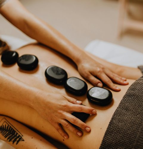 pexels-karolina-grabowska-6629521